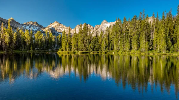 Reflexion grüner Kiefern in einem Hochgebirgssee — Stockfoto