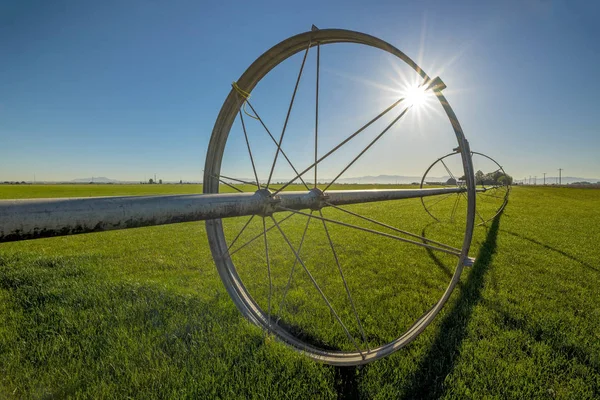 Farmers field and sprinkler pipe — Stock Photo, Image