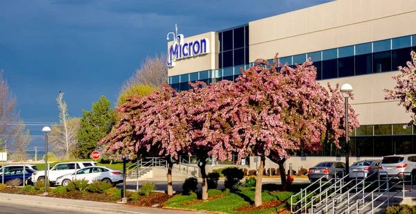 Micron Technology 'de akan bahar ağaçları 