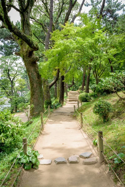 Chemin de terre mène à travers un beau jardin Japon — Photo