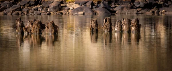 Houten pylonen in een Idaho River — Stockfoto