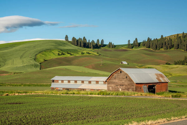 Палисадник и сарай с зелеными полями
