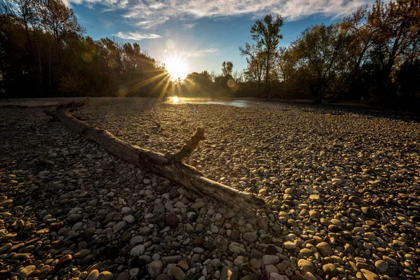 太阳在博伊西河岸边用木头向下照射 — 图库照片