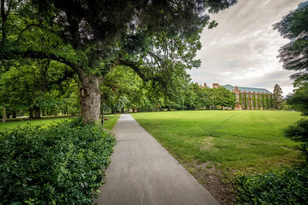 Prachtig park met boom en universiteits administratiegebouw — Stockfoto