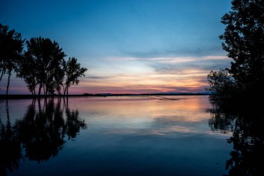 Trees reflect in the water sunrise Idaho Lake clipart