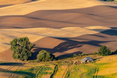 Uzun gölgeler acros ile sabah ışığında Uzak çiftlik alanları