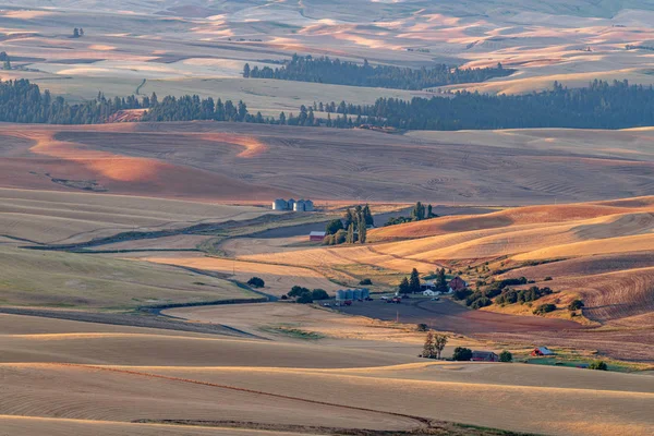 Farm country in Eastern Washington during harvest season — Stock Photo, Image