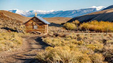 Dağ kulübesinde kar pelerinli dağ sıraları ve dökülen çalılar...