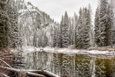 Karlı ve nehirli güzel bir kış ormanı