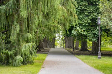 Kaldırımlar yeşil ağaçlarla kaplı.