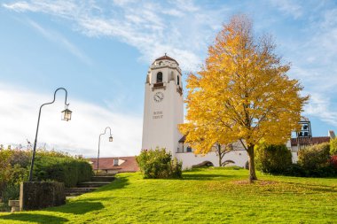 Mavi gökyüzü ve sonbahar ağacı deposu Boise