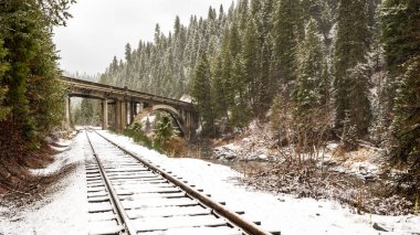 Idaho 'da kışın tren rayları olan gökkuşağı köprüsü.