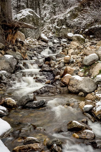 Idaho mountain strean in winter — Stock Photo, Image