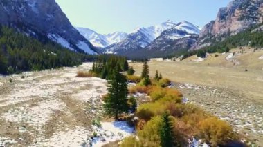 Çam ağaçları ve dökülen renkli çalılar bir kanyon boyunca uzanan bir nehir.