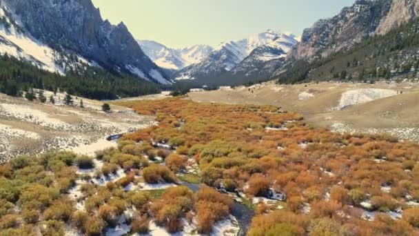 Talschluchtboden Gefüllt Mit Herbstfarbenem Gebüsch Der Idaho Wildnis — Stockvideo