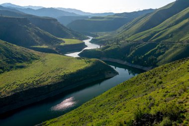 Boise Nehri 'nin güney çatalında puslu bir sabah.