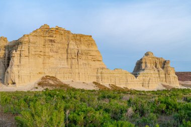 Çöl otları Oregon 'da kayalık bir tepeyi yönetiyor.