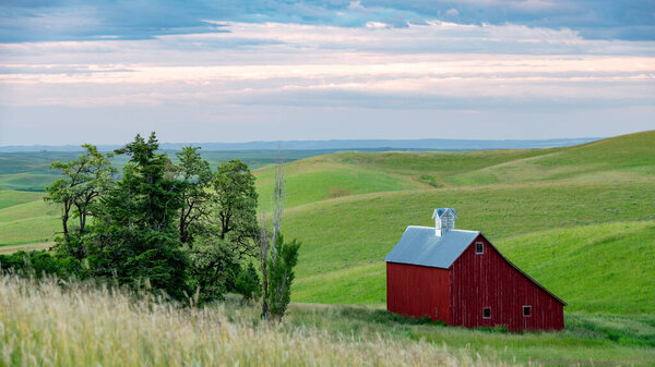 Роллинг зеленые холмы культур с ярко-красным сараем