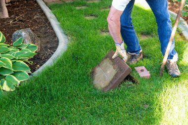 Kırmızı kil taşı bir işçi tarafından çimenlikten çıkarılır.