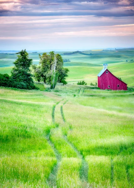 Celeiro Vermelho Aglomerado Árvores Perto Moscou Idaho Palouse — Fotografia de Stock