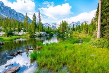Göletli ve yeşil ormanlı güzel dağ manzarası