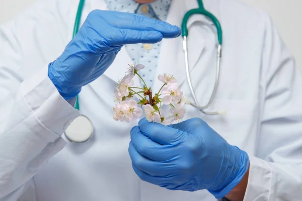 White flowers in the hands of a doctor on a white background. The concept of preserving beauty and health.