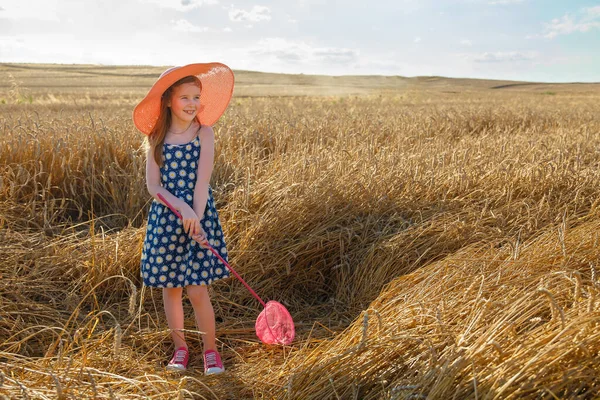 Little Girl Pink Hat Stands Field Holds Net Catching Insects — Stock Photo, Image