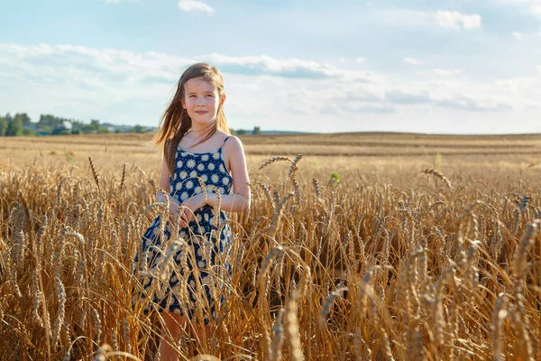 Ein Kleines Mädchen Steht Auf Einem Feld Inmitten Von Weizenähren — Stockfoto