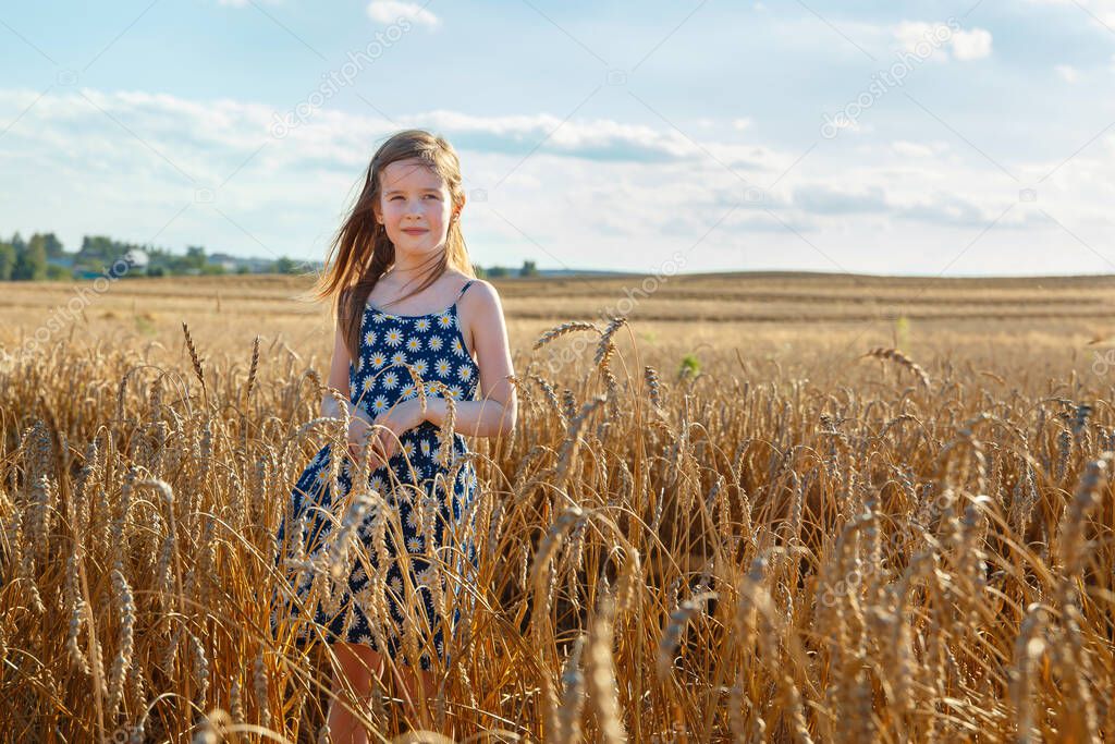 A little girl stands in a field in the middle of wheat ears and squints at the sun