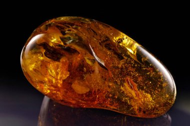 Siyah arka planda şeffaf kehribarın eşsiz bir parçası..