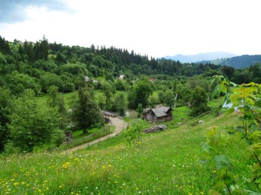 Karpat Dağları'nda ahşap evleriyle manzara 