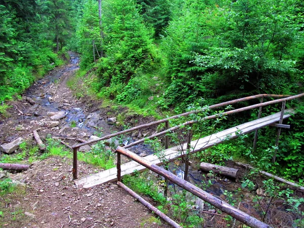 bir dağ nehir ahşap köprü