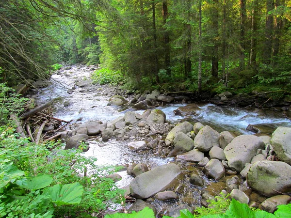 Górska Rzeka Lesie — Zdjęcie stockowe