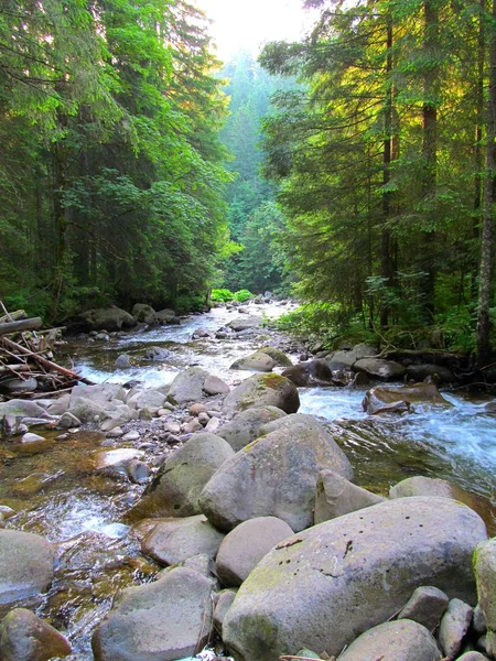 Río Montaña Cárpatos Ucrania — Foto de Stock