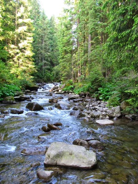 Río Montaña Cárpatos Ucrania — Foto de Stock