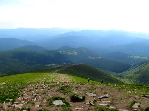 Peyzaj Mount Hoverla, Ukrayna.