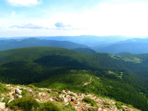 Peyzaj Mount Hoverla, Ukrayna.
