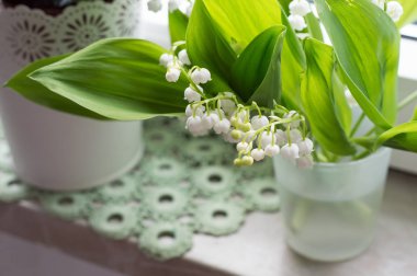 pencere, beyaz aranjmani ve mor güzel tencere güzel çiçekler