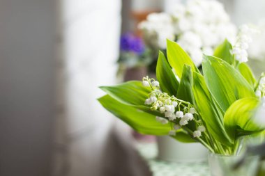 pencere, beyaz aranjmani ve mor güzel tencere güzel çiçekler