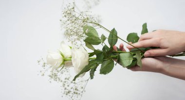 kadın elleri beyaz bir arka plan üzerinde narin beyaz gül tutun