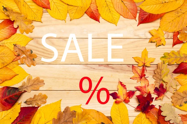 Autumn background, yellow leaves, blank sale background, autumn sale, — Stock Photo, Image
