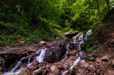 Güzel şelale ve yeşil orman manzara