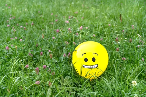 Feared emoji face on a yellow balloon laying on the green grass