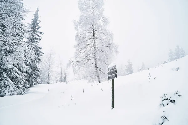 Slovence woods karla kaplı