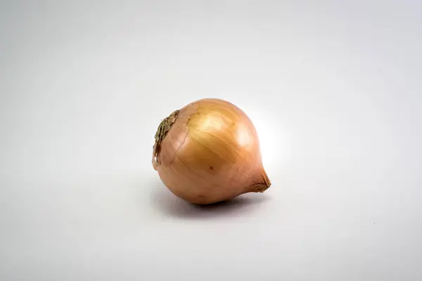 Onion Isolated White Background — Stock Photo, Image