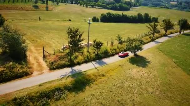 赤いカブリオレ車の運転の後イタリア、トスカーナの典型的な田舎の夏の風景に、彼らの結婚式。麦畑から道路。無人機による空撮. — ストック動画