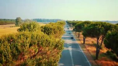 Livorno, İtalya arabalı Appian yolu ağaçlar yolun havadan görünümü.