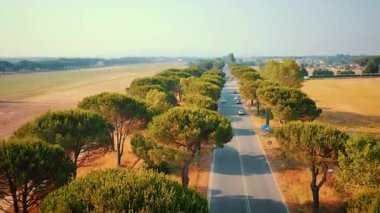 Hava dron görünümü Appian yolu ağaçlar yolun arabalı Livorno, İtalya.