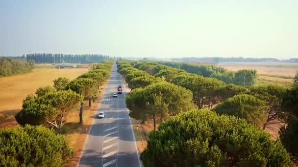 Livorno, İtalya arabalı Appian yolu ağaçlar yolun havadan görünümü. — Stok video