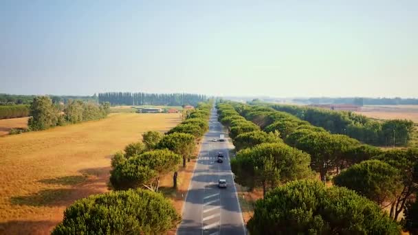 Aerial view of Appian Way trees road with cars in Livorno, Italy. — Stock Video